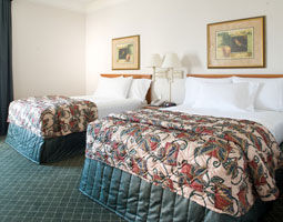 La Quinta By Wyndham Houston Sugarland Hotel Stafford